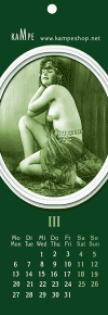 N-03.gif (34610 bytes)